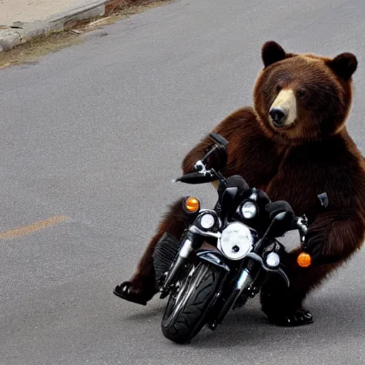 Prompt: A bear on a Harley Davidson