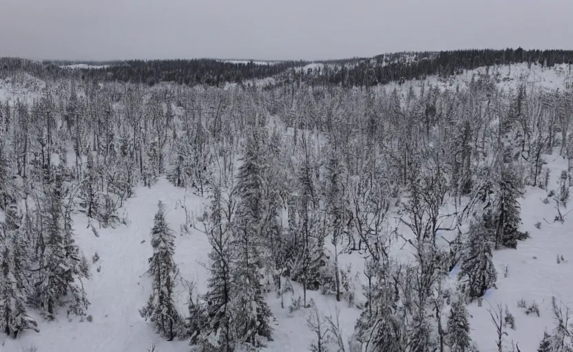 Prompt: a bleak empty winter northern wilderness