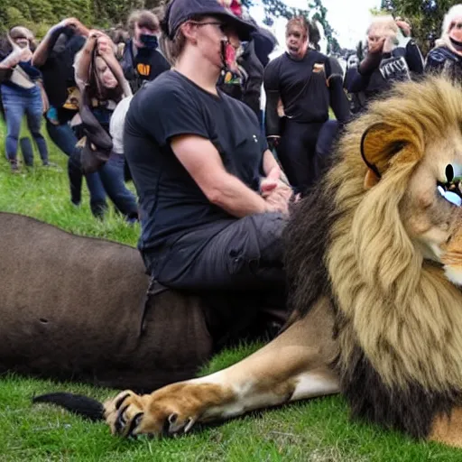 Prompt: New Zealand freedom protesters encounter a pride of lions. News footage.