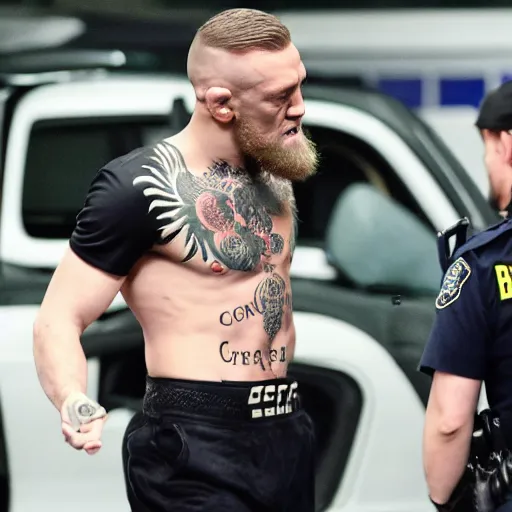 Image similar to conor mcgregor being arrested