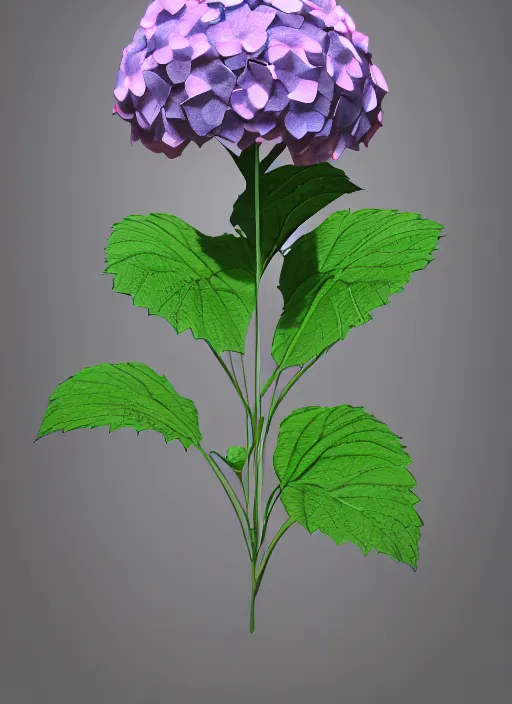 Prompt: an isolated hydrangea plant, 3 d render, art nouveau dark outlines, ultra realistic, masked transparent flat background, popular on sketchfab, pixelsquid, 8 k, volumetric lighting, super focused, no blur, trending on artstation, octane render, ultra detailed, hyperrealistic, by artgerm and greg rutkowski and alphonse mucha