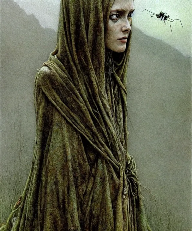 Prompt: a detailed mosquitowoman stands among the hills. wearing a ripped mantle, robe. perfect faces, gnats, extremely high details, realistic, fantasy art, solo, masterpiece, art by zdzislaw beksinski, arthur rackham, dariusz zawadzki