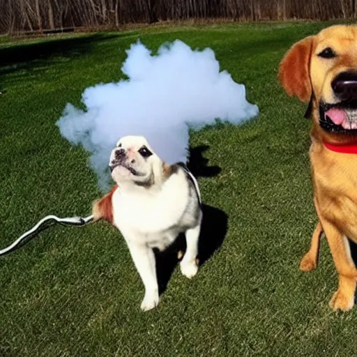 Image similar to dog vaping