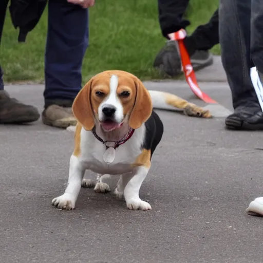 Prompt: beagles getting shot by a trump supporter