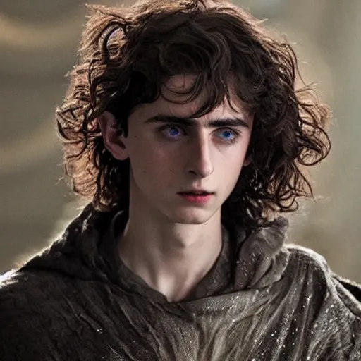 Image similar to timothee chalamet in elden ring