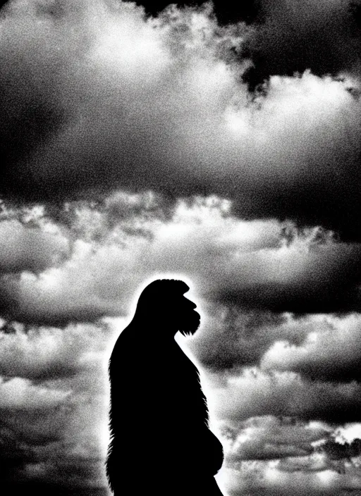 Image similar to bigfoot black and white portrait white sky in background