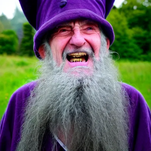 Image similar to a crazy old druid wizard, bald, bushy grey eyebrows, long grey hair, disheveled, wise old man, wearing a grey wizard hat, wearing a purple detailed coat, a bushy grey beard, sorcerer, he is a mad old man, laughing and yelling