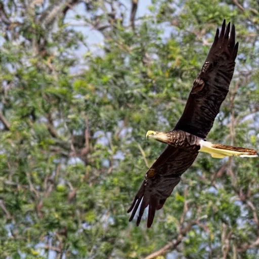 Image similar to a snake - eagle, wildlife photography