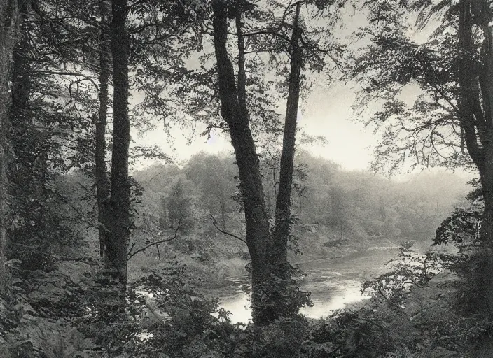 Prompt: Overlook of a river flowing through a tarot card forest, albumen silver print by Timothy H. O'Sullivan.