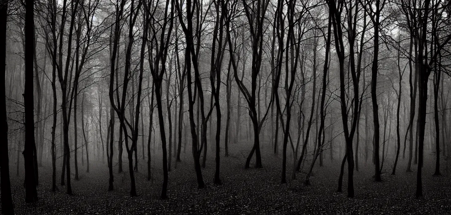 Prompt: dark forest by dittmann anna