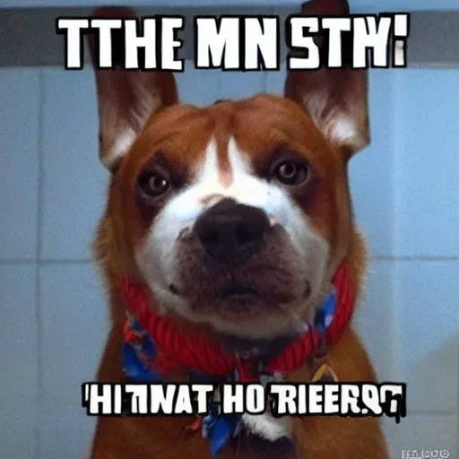 Image similar to the most random thing ever.