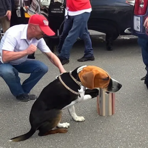 Image similar to beagle getting into fist fight with trump supporter