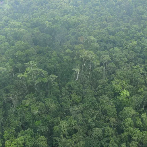 Image similar to clearfelled jungle, slash and burn