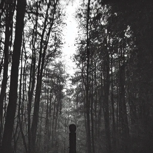 Image similar to grainy trail cam photo still of an alien in the woods at night hiding in the trees of a forest