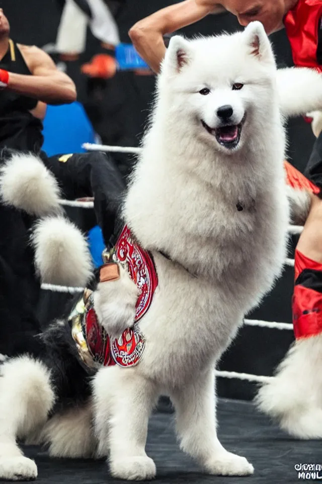 Image similar to samoyed dog competing in muay thai kickboxing world championship, photorealistic