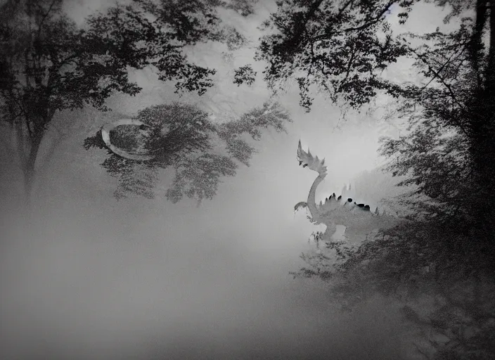 Prompt: dragon, mist, lomography photo effect, monochrome, noise grain film