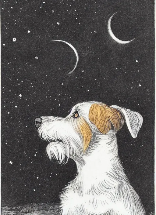 Image similar to candid portrait of jack russel dog howling, night sky, highly detailed, side view, illustrated by peggy fortnum and beatrix potter and sir john tenniel