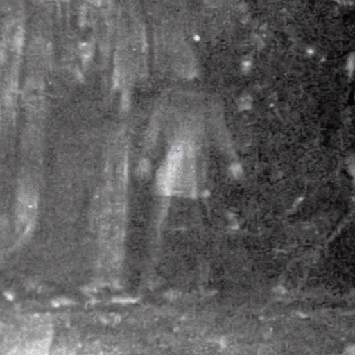 Prompt: an old photograph of paranormal evidence