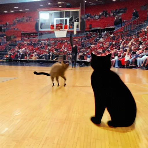 Prompt: basketball game interrupted by cats