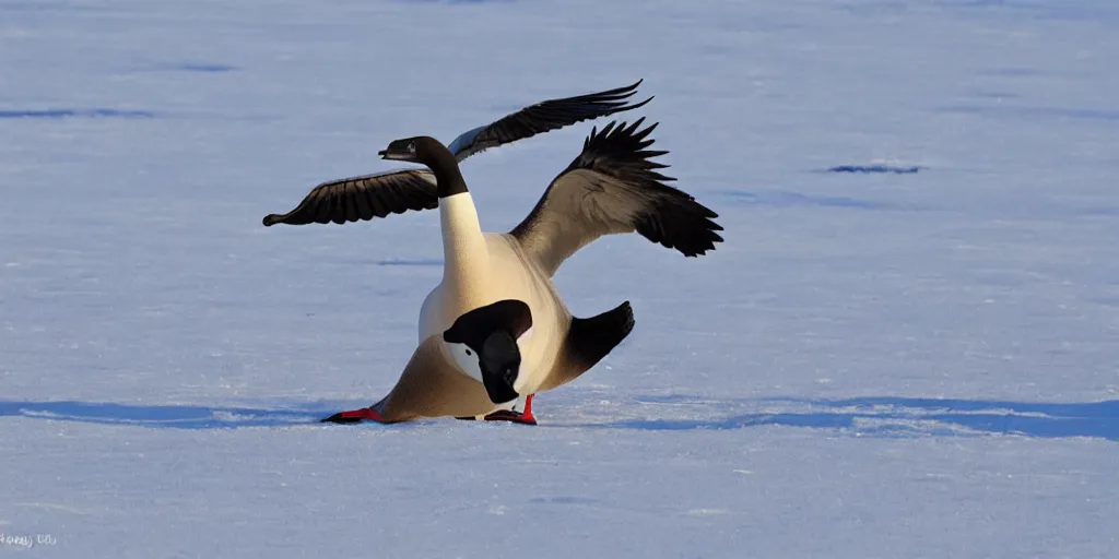 Image similar to canadian goose