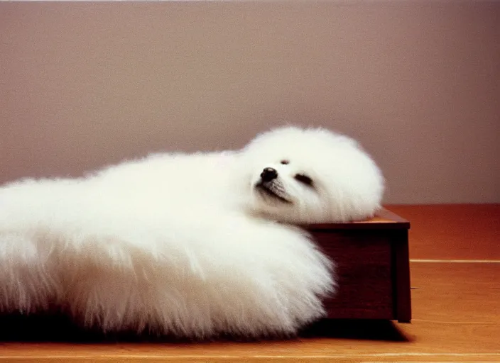 Image similar to realistic museum photo of a white fluffy sweater object, straight laying on a wooden desk 1 9 9 0, life magazine reportage photo, natural colors