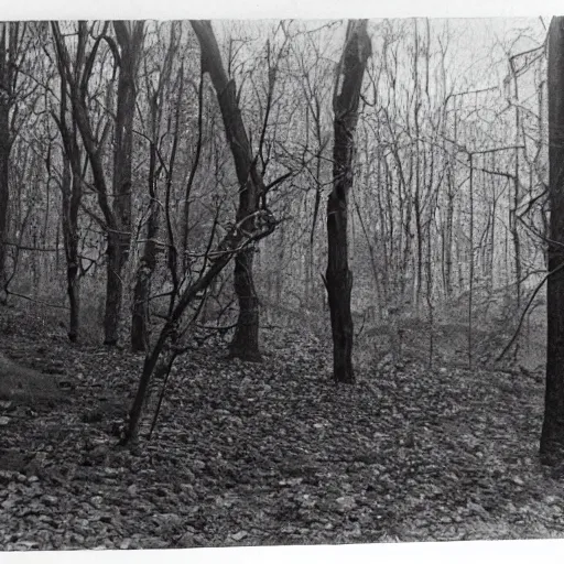 Image similar to a very old photo of the blair witch