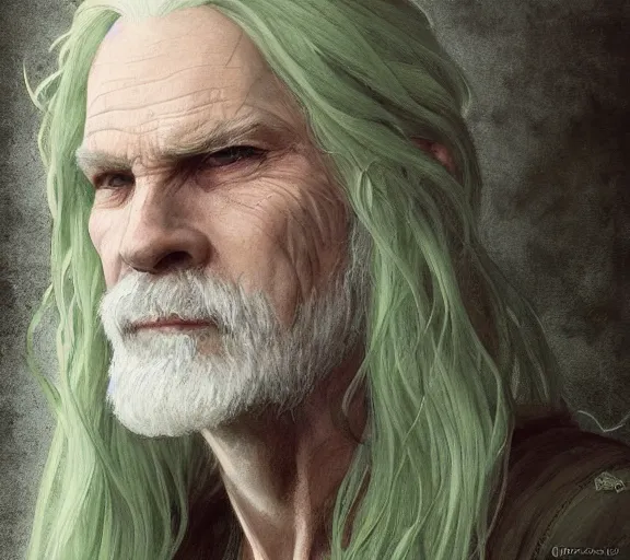 Image similar to portrait of old forest druid, pale skin, green eyes, long grey hair, simple clothes, high fantasy, dnd, d & d, illustration, by artgerm, greg rutkowski, alphonse mucha - h 7 6 8