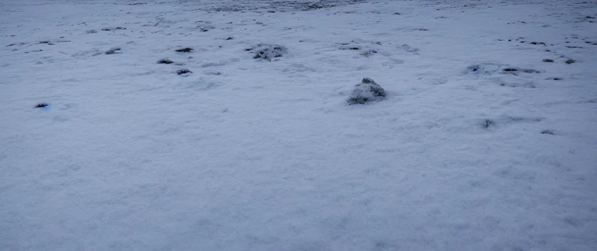 Image similar to a high quality color closeup hd 4 k film 3 5 mm photograph of very heavy blizzard in desolate antarctica with the faint silhouette of a man in the distance leaving a single trail of footsteps in the snow behind him