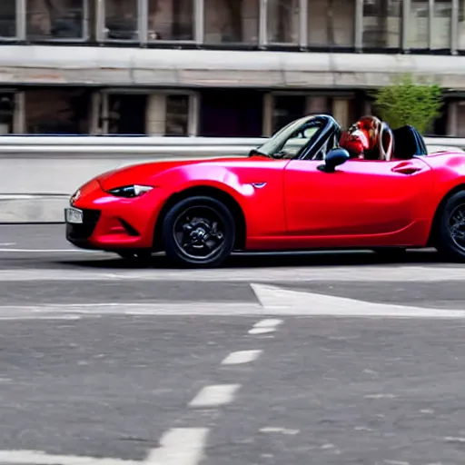 Image similar to a guinea pig driving a red mazda mx-5 on a street in Stockholm