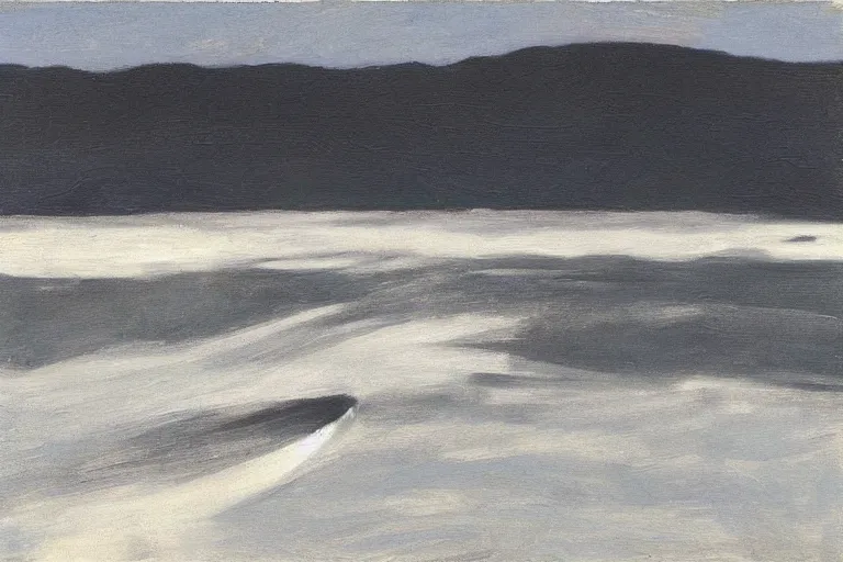 Prompt: artwork by vija celmins