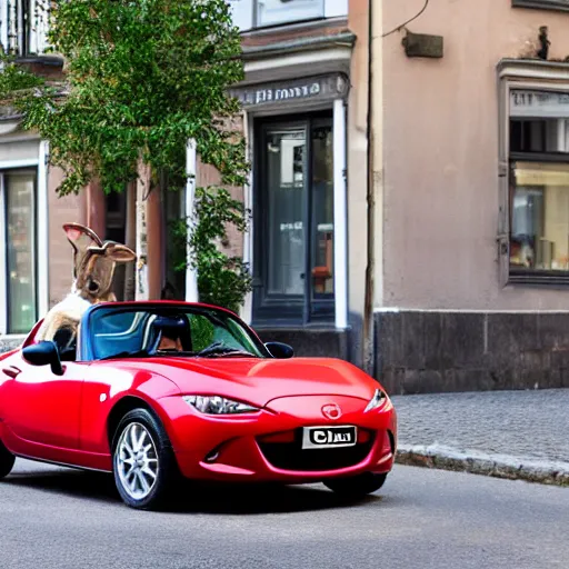 Image similar to a rabbit sitting in a red mazda mx-5 parked on a street in STockholm