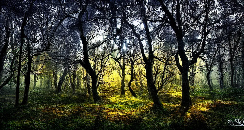 Prompt: Enchanted and magic forest, by 500px