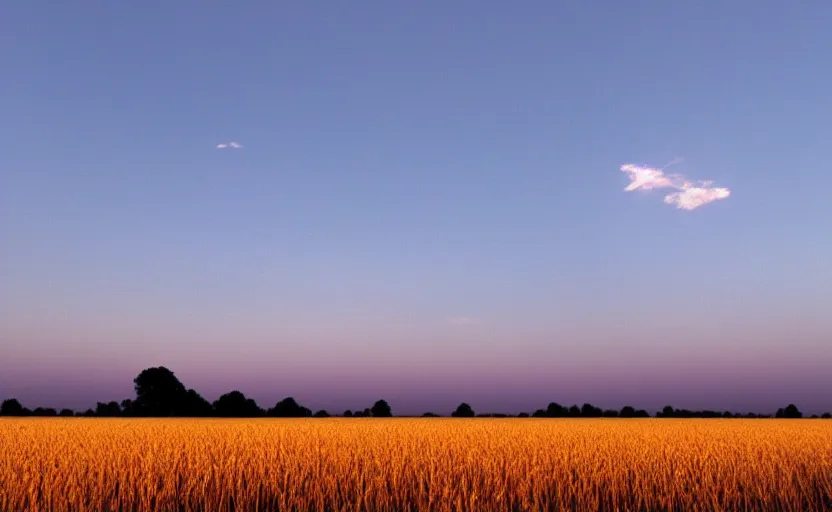 Prompt: black slush flying through a wheat-field, dusk, sunrise, 2003 still from pixar, 4k