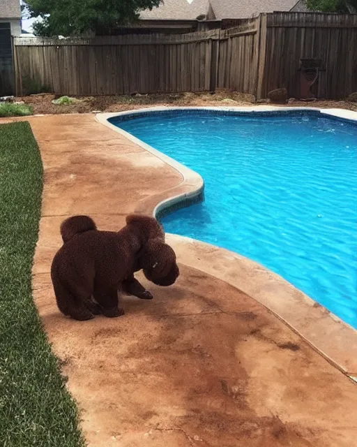 Prompt: who tf pooped in my backyard pool? hell nah man can't have shit in texas smh, instagram post, viral post, viral image, viral on instagram, viral on twitter, phone quality