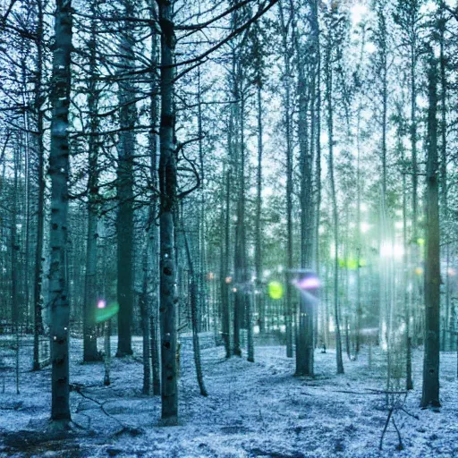 Image similar to bright nordic forest, sparkling spirits, detailed wide shot, hologram, ground detailed, wet eyes reflecting into eyes reflecting into infinity, beautiful lighting