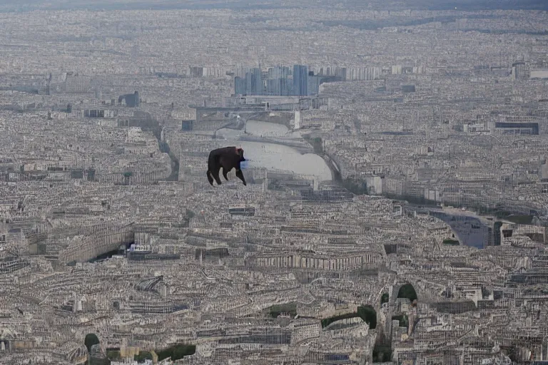 Image similar to a big dog attacking paris, 4k