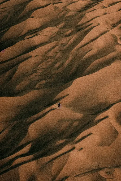 Image similar to agfa vista 4 0 0 photograph of aerial view of small jungle in the middle of sand desert, moody lighting, moody vibe, telephoto, 9 0 s vibe, blurry background, grain, tranquil, calm, faded!,