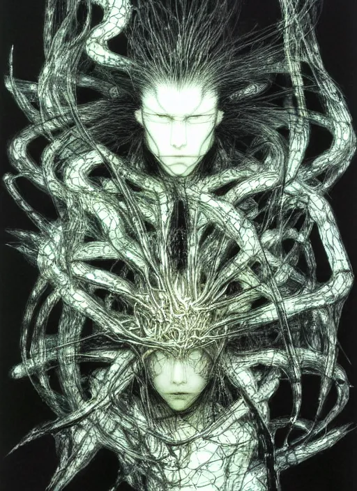 Image similar to portrait of yoshitaka amano's neural nightmare, stark composition