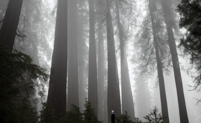 Image similar to 12 ft tall, faceless Slenderman wearing suit standing in the forest, redwood sequoia trees, ominous foggy environment, best of artstation