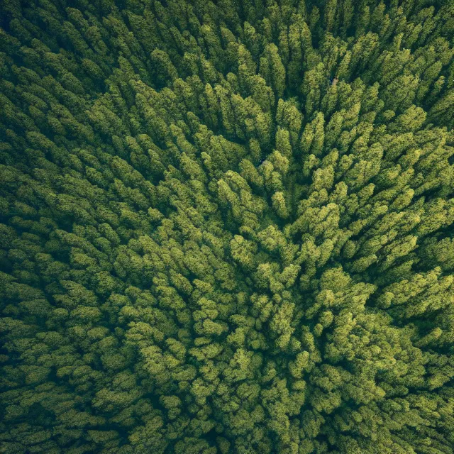 Image similar to looking down a mountain at a forest of hammerhead sharks, sharp focus, octane render