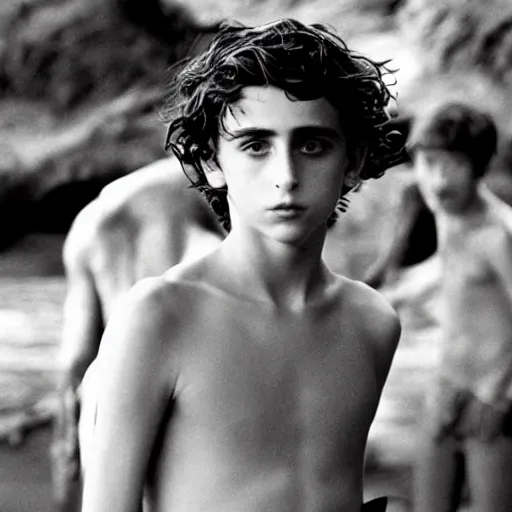 Image similar to timothee chalamet plays ralph in lord of the flies ( 1 9 6 3 ), 3 5 mm black and white, highly detailed, cinematic lighting