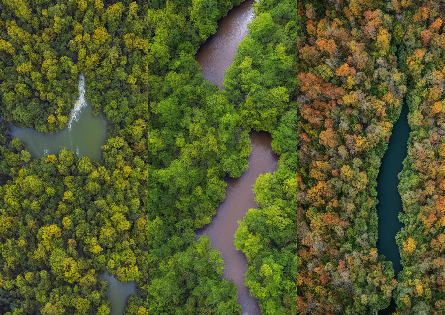 Prompt: Locust Fork Sipsey River, National Geographic photograph, aerial perspective