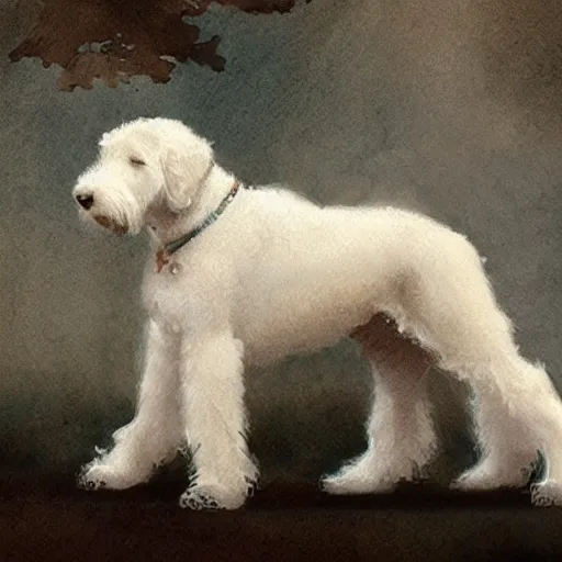 Prompt: white labradoodle by greg rutkowski