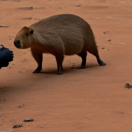 Image similar to a capybara in mars talking to a man