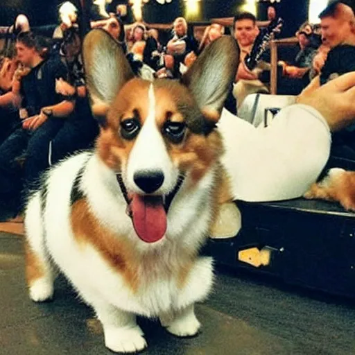 Image similar to corgi on concert of Russian rock group with tons of beer