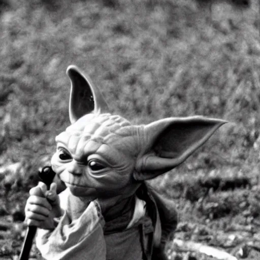 Image similar to yoda performing at woodstock