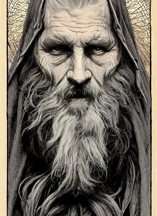 Prompt: portrait of a 6 0 year old giant man with long tangles of thinning gray hair and beard, one eye missing, wearing gray hooded cloak, hyper realistic face, two ravens above him, very low angle, fantasy art, in the style of greg rutkowski, intricate, alphonse mucha, hyper detailed, smooth