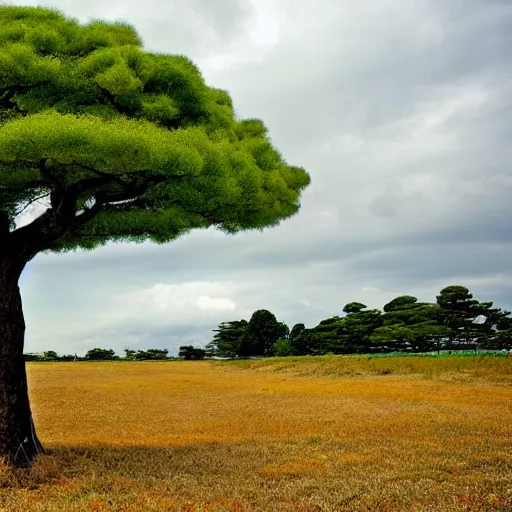 Prompt: a beautiful landscape with a tree and clouds on the outskirts of Tokyo by Matthew Quick