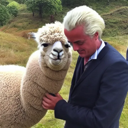 Image similar to geert wilders touching alpaca behind