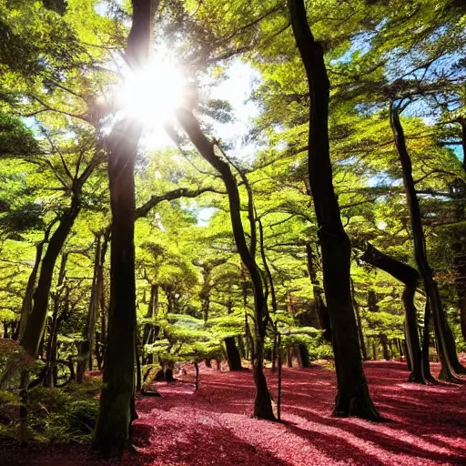 Image similar to a japanese forest, sunny